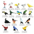 thumbnail image 3 of Trick Toy for Kids/Adults Realistic Bird Figurines Toys Relieve Stress Supplies, 3 of 8