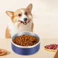 thumbnail image 3 of Stainless Steel Non-Slip Pet Bowl Stable, Durable, and Large Diameter Cat and Dog Food Bowl for Home Feeding, 3 of 7