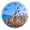 E25, variant on Night Panorama City Chicago Wall Clocks Home Decoration Silent Round Wall Watches for Home Living Room Kitchen Wall Decor（10 Inch）