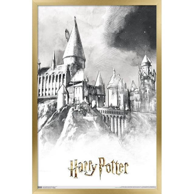 Le monde des sorciers : Harry Potter - Poudlard illustré