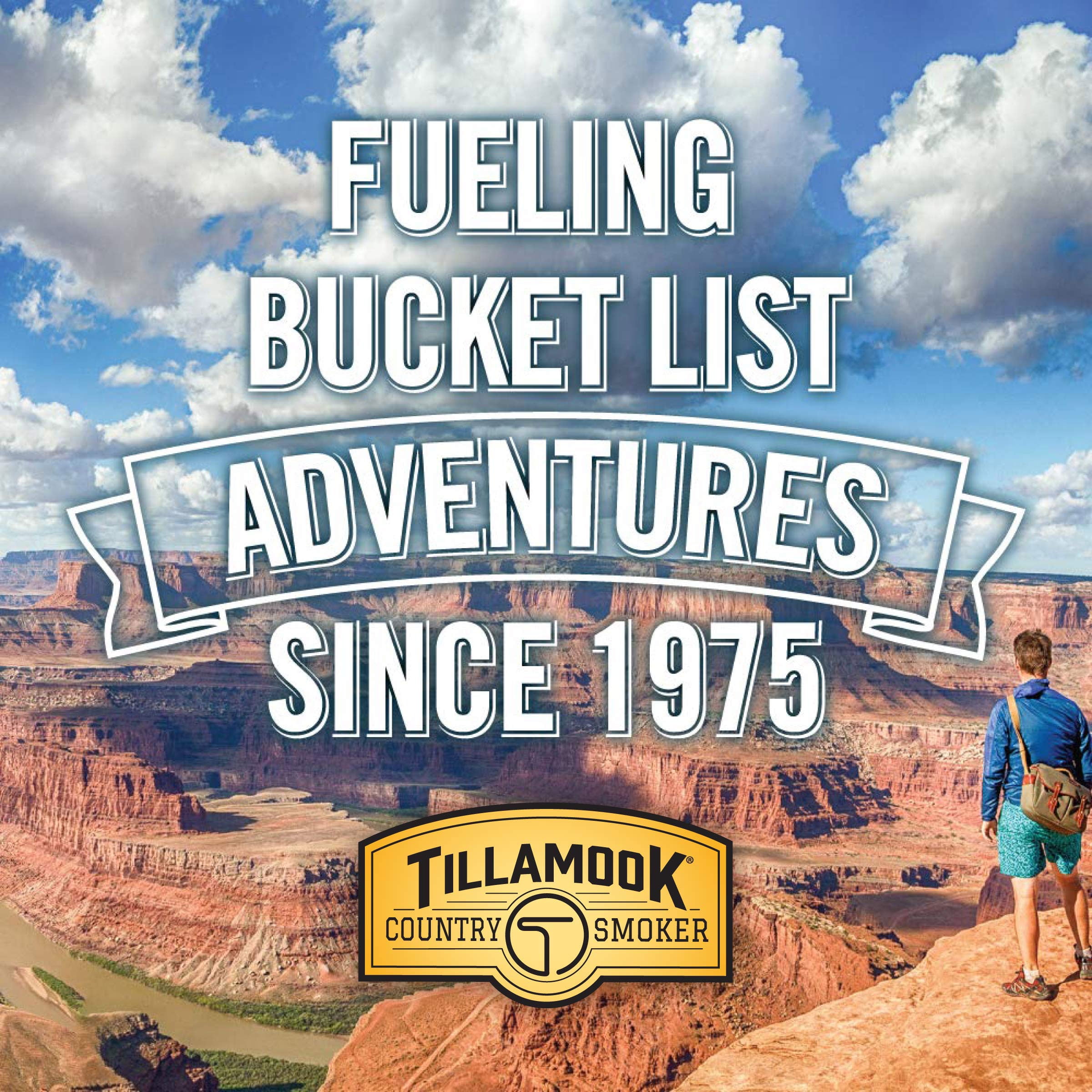 Tillamook Country Smoker, Zero Sugar Teriyaki Mini Sticks