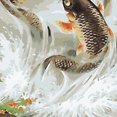 thumbnail image 3 of KLKCMS 15 Styles No Canvas Acrylic Paint Painting by Numbers Kits Two Carps, 3 of 6