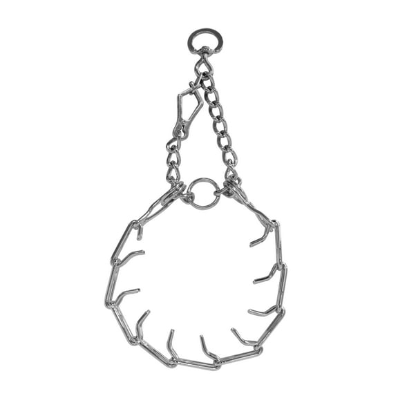 Downtown Pet Supply Prong Collar for Dogs Adjustable Dog Training Collar White, M