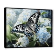 thumbnail image 2 of Designart "Butterfly Haven Blue Black I" Animals Floater Framed Canvas Print, 2 of 7