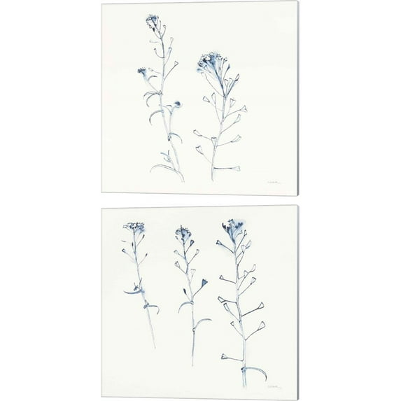 Great Art Now Shepherds Purse Stems Blue by Shirley Novak 2 Piece Canvas Art Set Each 14"W x 14"H