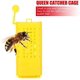 thumbnail image 4 of 10 piezas de jaulas de reina, kit de copa de cría de apicultura, jaula de plástico para abeja reina, rodillo de marcado, transporte, caja atrapa insectos, apicultor estrella, 4 of 4
