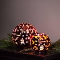 thumbnail image 3 of Evergreen Enterprises LED Stargazing Scattered Leaves Orb, 3 of 5