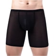 thumbnail image 1 of DPTALR Men's Boxer Three Points Shorts Mesh Sexy Breathable Panties, 1 of 9