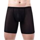 thumbnail image 2 of Bóxer para hombre, pantalones cortos de tres puntos, bragas transpirables sexis de malla Pompotops qyievc5109, 2 of 9