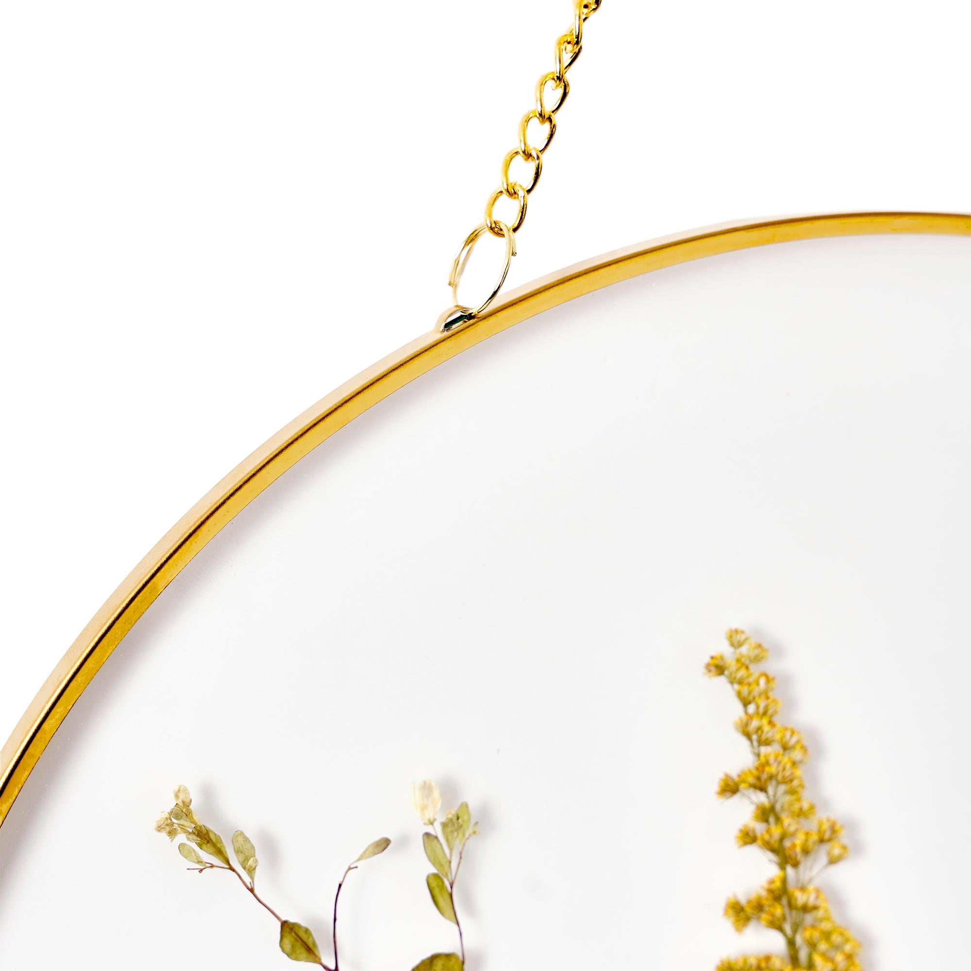 (3 pack) Mainstays Hanging Gold Circular Framed Glass Dried Pressed Floral Wall Decor, 9x9