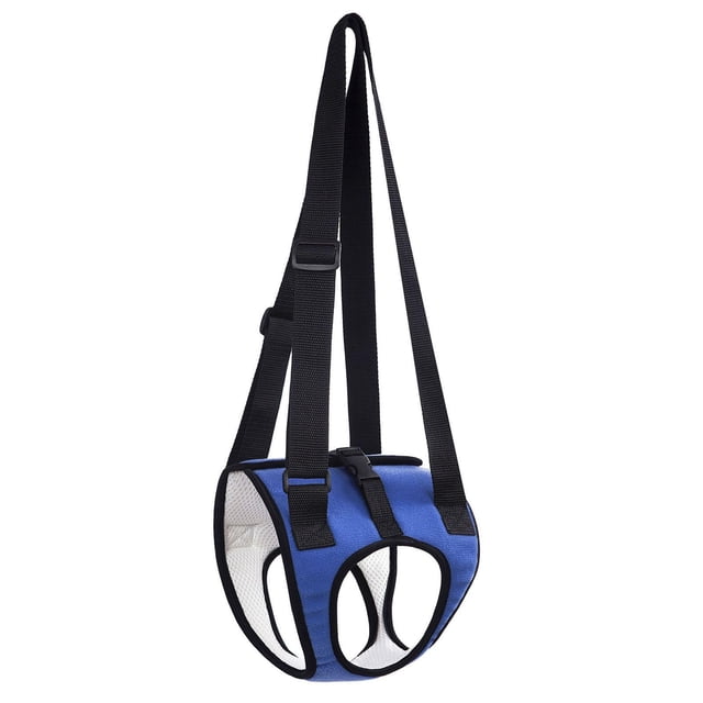 Cinturón auxiliar para caminar para perros Strade Fareast Limited Acolchado Azul