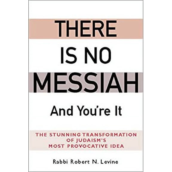 Pre-Owned There Is No Messiah and You're It: The Stunning Transformation of Judaism's Most Provocative Idea (Hardcover) 158023173X 9781580231732