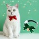 thumbnail image 4 of Pajarita Navideña De Terciopelo Con Hebilla Para Mascotas, Collar Para Gatos Y Perros, Pajarita Con Cascabel En Forma De Ojo De Gato, 4 of 4