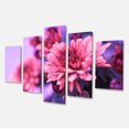 thumbnail image 2 of Chrysanthème Automnal Coloré - Impression sur Toile Florale, 2 of 3
