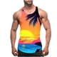 thumbnail image 1 of Camiseta de tirantes de cuello redondo para hombre, sin color, con estampado degradado, cuello redondo, tirantes finos, espalda con fugas, estilo informal, deportiva, para hombre, 1 of 4