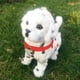 thumbnail image 4 of Juguetes Para Niño Juguetes para perros robot interactivos electrónicos con control de sonido para cachorros, osito de peluche que camina y ladra con música y control táctil. Juguetes Para Bebe 1 Año, 4 of 7