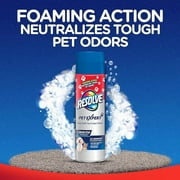 Resolve Pet High Traffic Carpet Stain Cleaner Solution and Odor Remover Foam, 22oz