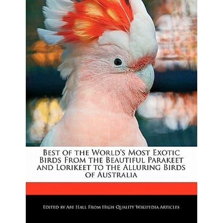 Best of the World's Most Exotic Birds from the Beautiful Parakeet and Lorikeet to the Alluring Birds of (Best Talking Birds Australia)