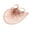Pink, variant on Dyfzdhu Headwear For Women Fashion Fascinator Hat Flower Mesh Tea Party Hairband For