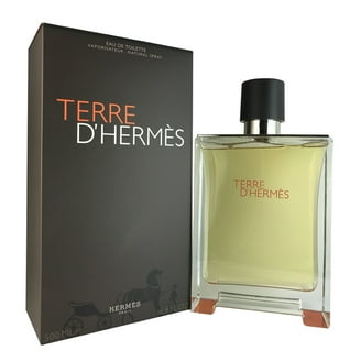 Hermes Terre D'Hermes Eau de Toilette Natural Spray for Men 100ml