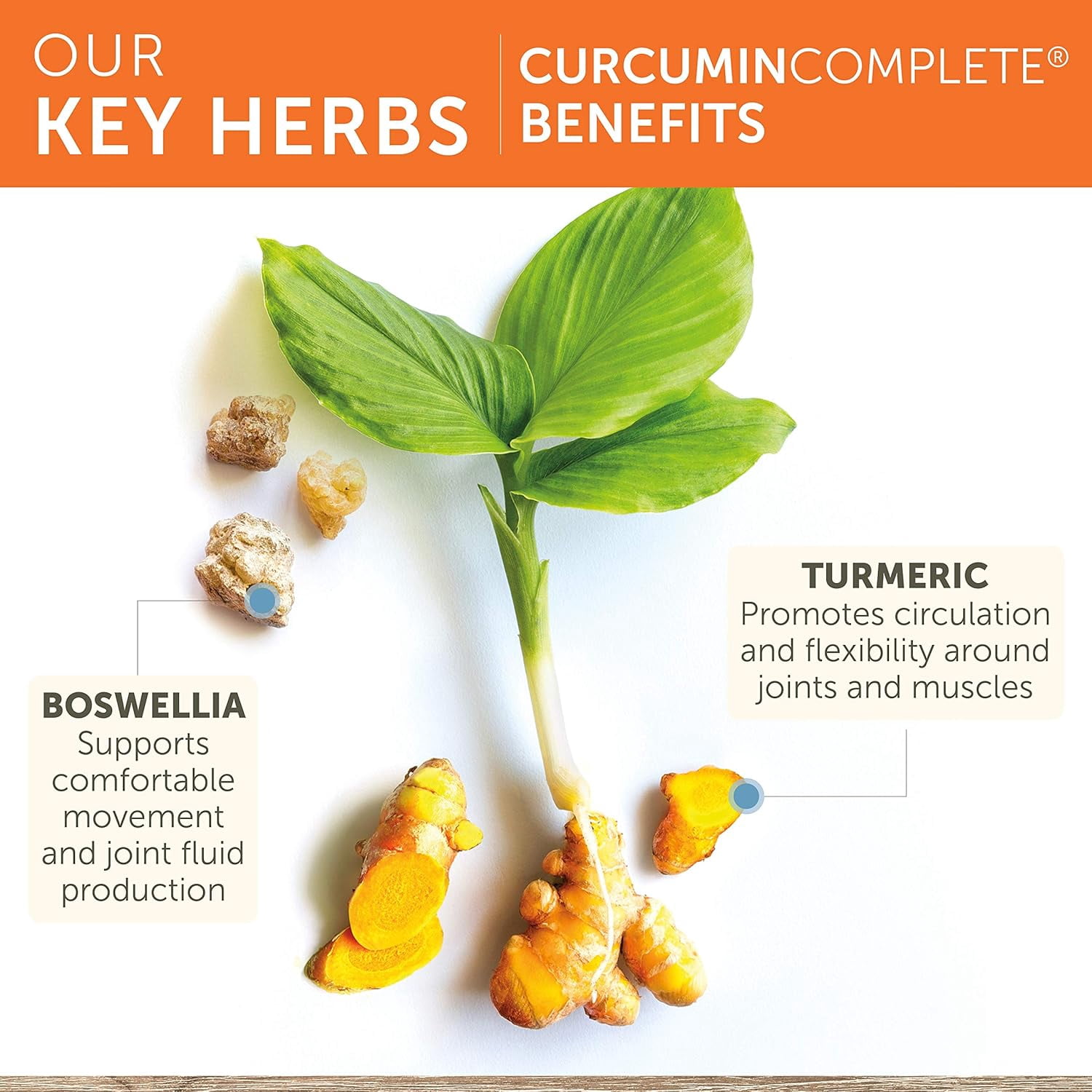 Himalaya Curcumin Complete for Joint Support, Joint Relief and Flexibility, 372 mg, 60 Capsules