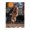 500 Pieces, variant on 500-Piece Wooden Jigsaw Puzzle for Adults - Dog Catching Disc In Midair , Interlocking Pieces with Guide Letters, Holiday Gift & Home Decor