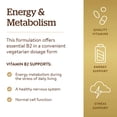 thumbnail image 4 of Suplemento Solgar de vitamina B2 (riboflavina) 100 mg 100 cápsulas, 4 of 6
