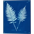 thumbnail image 2 of Great Art Now Cyanotype Ferns B by Unknown 2 Piece Canvas Art Set Each 12"W x 15"H, 2 of 3
