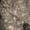 Realtree Timber, variant on MidwayUSA Men's Fraser Ridge Fleece Coat Realtree APX Large Tall