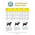 thumbnail image 1 of S Raceing FLAMES NYLON DOG LIFE JACKET, 1 of 1
