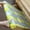 1-b, variant on Easy Tear Perforated Drawer Liner Kitchen, Easy Tear Drawer Liner