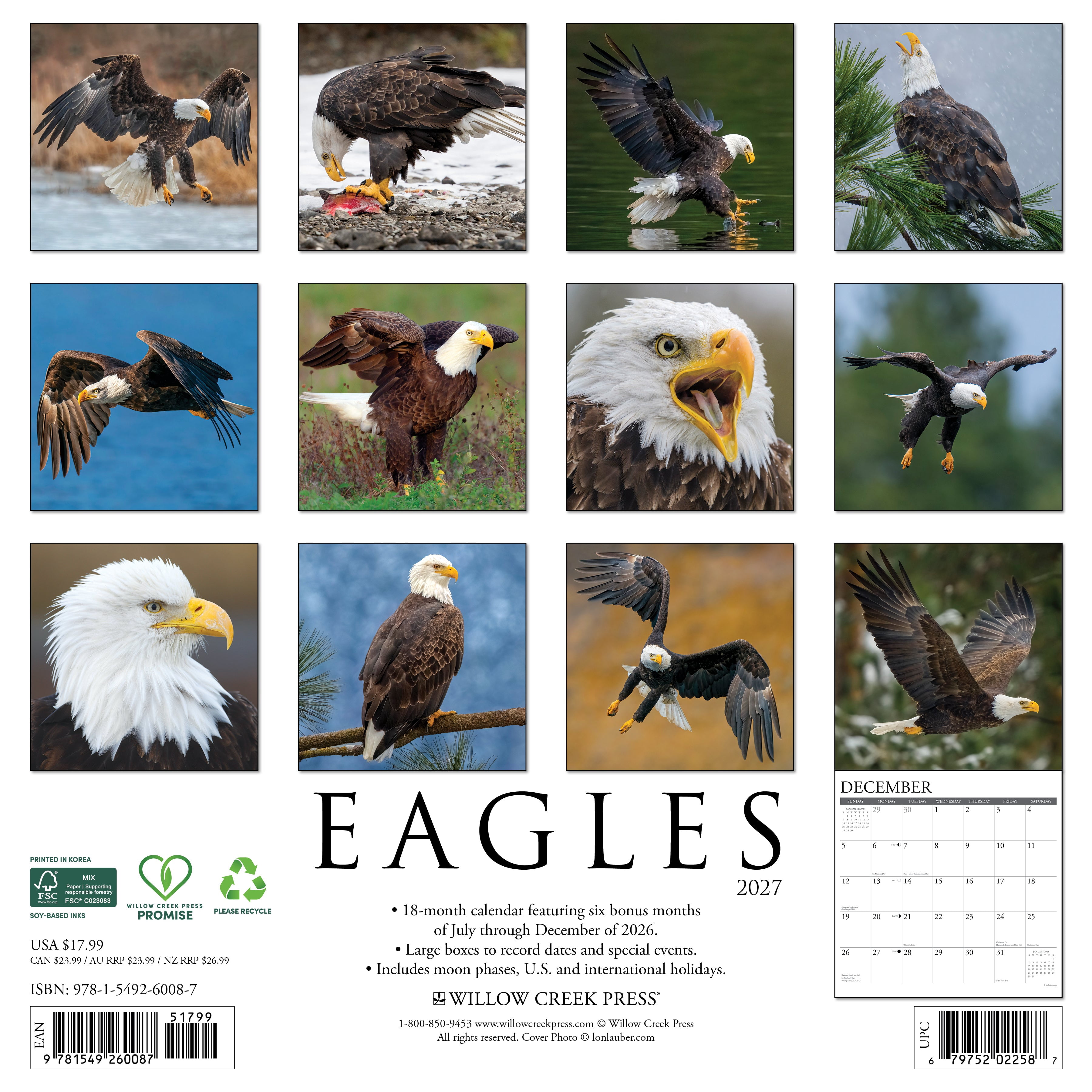 Willow Creek Press, Eagles 2027 Wall Calendar
