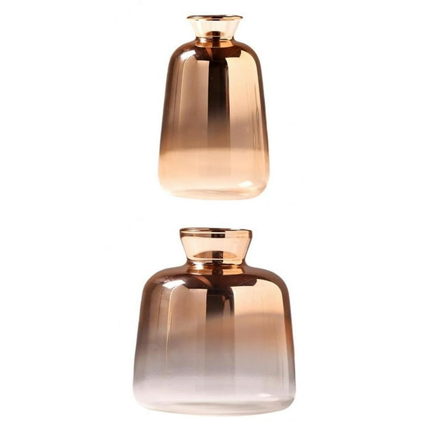 2 Jarrones de Cristal para Terrario de Macarena Jardinera de terrarios