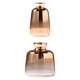 thumbnail image 1 of 2 Jarrones de Cristal para Terrario de Macarena Jardinera de terrarios, 1 of 1