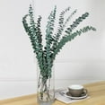 thumbnail image 3 of Dried Preserved Eucalyptus Plant Bundle,Real Natural 12 Stems Eucalyptus Leaves, 17'' Fresh Eucalyptus for Shower, Aromatherapy, Flower Vase,Arrangements Wedding,Home Greenery Decor (Green), 3 of 8