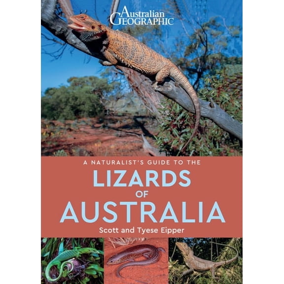 Naturalists' Guides: A Naturalist's Guide to the Lizards of Australia (Paperback)