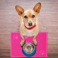 thumbnail image 2 of Cat Litter Mat Kitty Litter Mat For Litter Boxes Kitty Litter Mat To Trap Mess Scatter Control Washable Indoor Pet Rug And Carpet Cat Pan Liners Extra Large Litter Mat for Cats Extra Large Cat Rug, 2 of 2