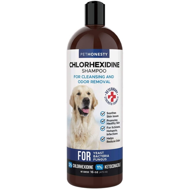 Shampoo Clorhexidina Antibacteriana y Antifúngica con Ketoconazol y Aloe Antiolor Perros Gatos 16oz PetHonesty PH-53536744S