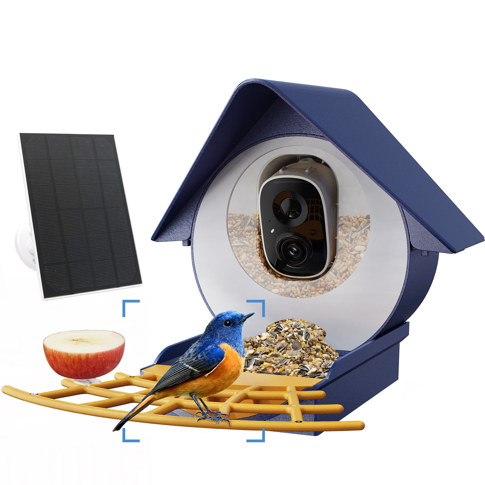 Birdkiss Bird Feeder with Camera, AI Identify Bird, Solar Panel, Built