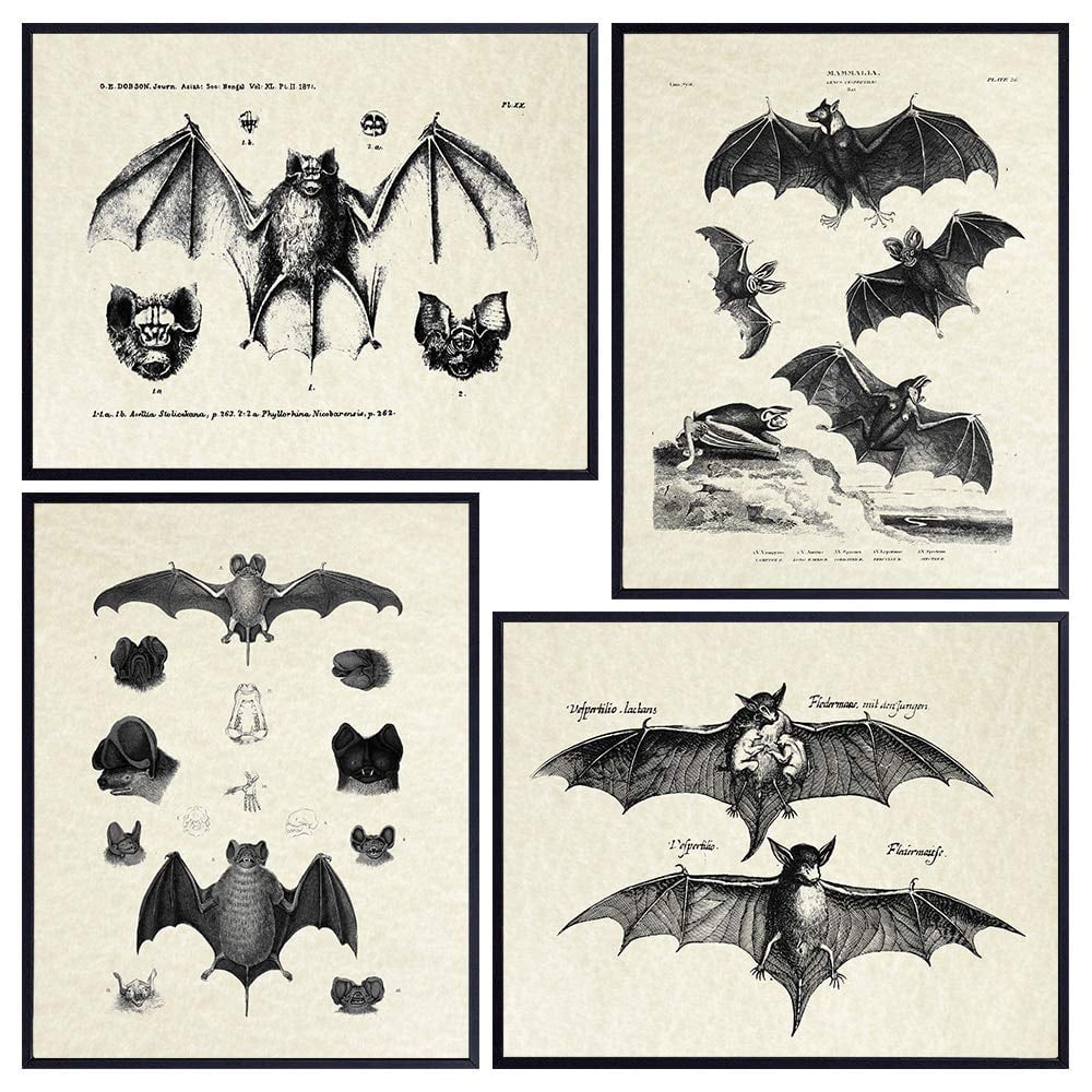 Dark art Vampire bat painting Ancient parchment poster Vampire Skull Print Gothic print Vampire Art Bat art Bat design