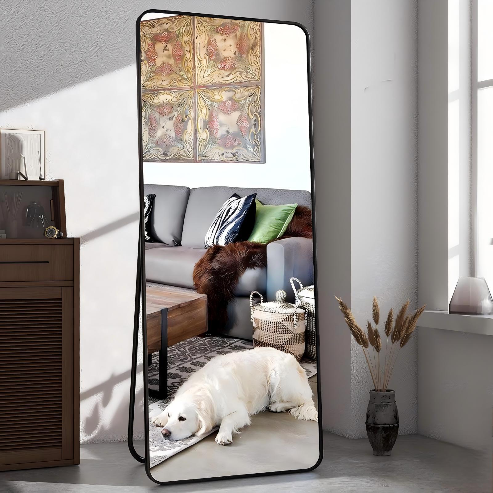 Anyrose 21"x64" Rectangular Full Length Mirror Aluminum Alloy Frame Floor Mirror，Black