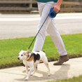 thumbnail image 5 of Pet Leash Retractable Dog Leash Automatic Flexible Puppy Cat,E, 5 of 5