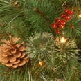 thumbnail image 2 of National Tree Company 2 ft. Pre-lit Potted Glistening Pine Porch Bush Artificial Christmas Tree, Clear Lights, 2 of 3