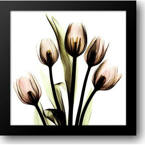 Crystal Flowers X-Ray, Tulip Bouquet 16x16 Framed Art Print by Koetsier, Albert
