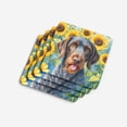 thumbnail image 4 of German Wirehaired Pointer in Sunflowers Foam Coasters 3.5 in x 3.5 in, 4 of 5
