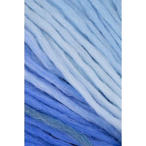 Schoppel Wolle - Reggae Ombre Knitting Yarn - Frozen Lake (# 2507)