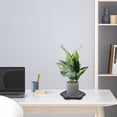 thumbnail image 3 of LULULION 2Pcs Black Plastic Plant Pot Trays Hexagonal Shape Drip Tray for Indoor Plants, 3 of 5