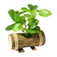 thumbnail image 5 of Plantas pequeñas en maceta, bonsái, vegetación artificial en maceta para granja. Estilo D, 5 of 7