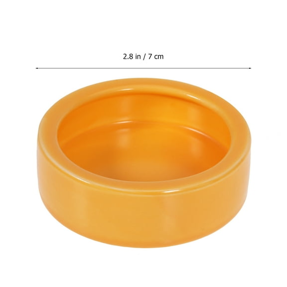 YUNLIGHTS Reptile Dish and Food Bowl Set for Crawling Pets - Glass Basin for Escape- Feeding