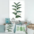 thumbnail image 3 of Designart 'Little White Flowers With Ancient Plant' Farmhouse Framed Art Print, 3 of 4